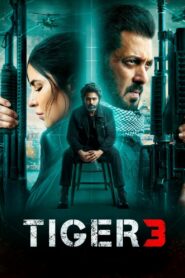 Tiger 3 2023 Full Movie Download